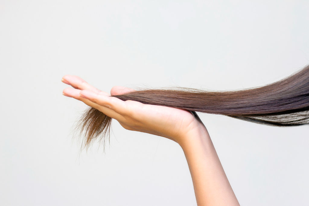 How To Make Amla Hair Oil + Benefits - allprettybits
